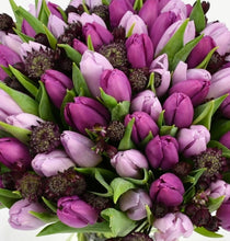 Load image into Gallery viewer, Simply Tulips
