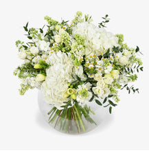 Load image into Gallery viewer, Elegance