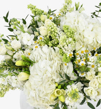 Load image into Gallery viewer, Elegance