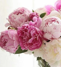 Load image into Gallery viewer, Peony Paradise