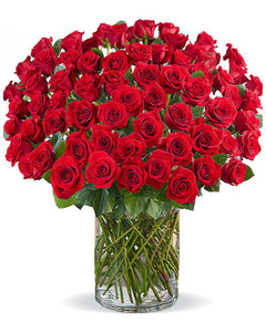 Royal, Regal and Red