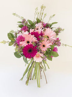 Mixed Gerbera Bunch