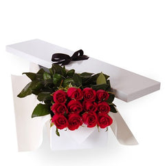 Dozen long stem premium red roses